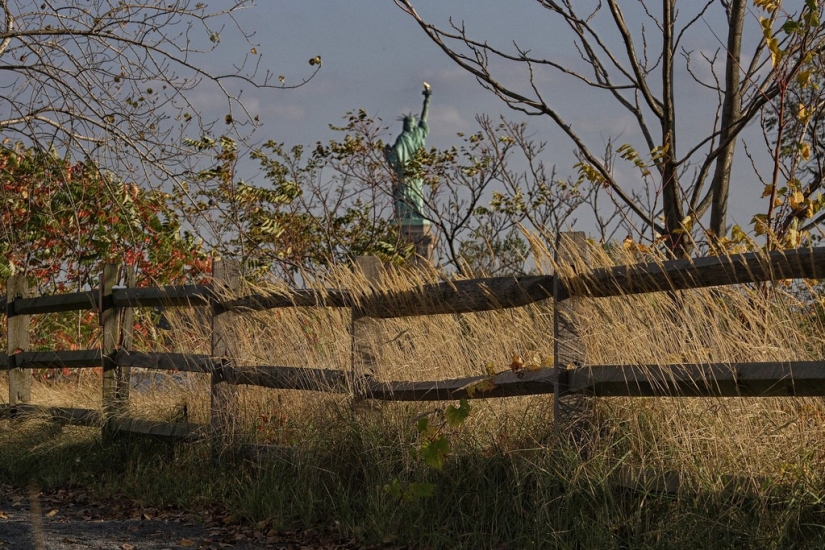 The Other Side of Freedom