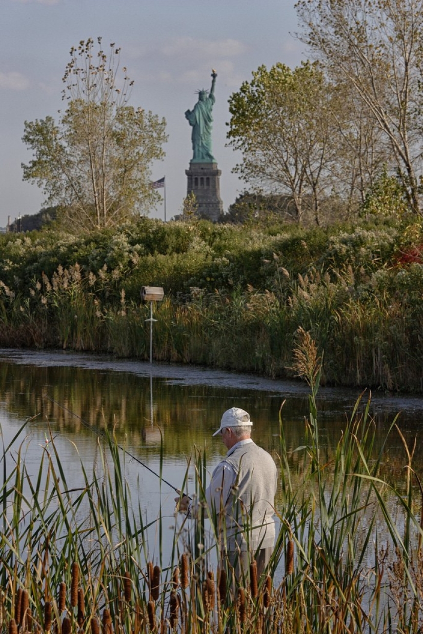 The Other Side of Freedom