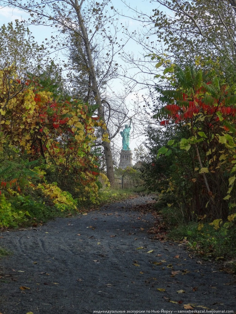 The Other Side of Freedom