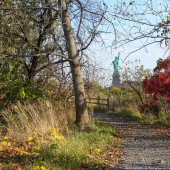 The Other Side of Freedom