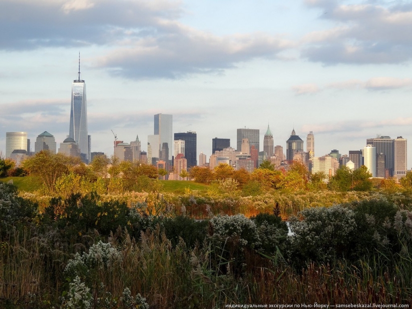 The Other Side of Freedom