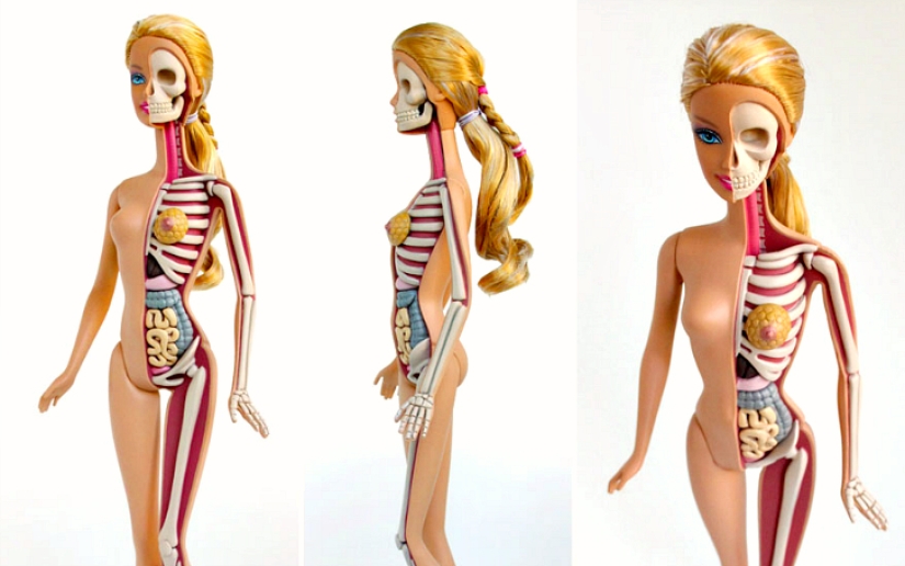 The rich inner world of your toys