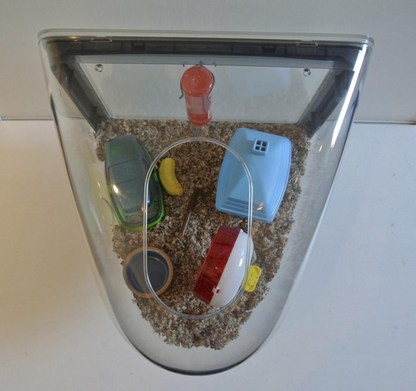 The second life of computers or the reincarnation of technology The second life of computers or the reincarnation of technology