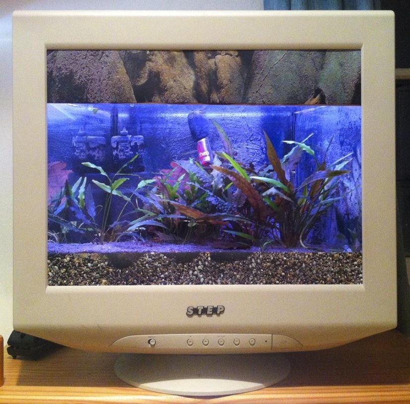 The second life of computers or the reincarnation of technology The second life of computers or the reincarnation of technology