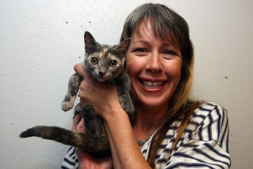 The shortest cat in the world!