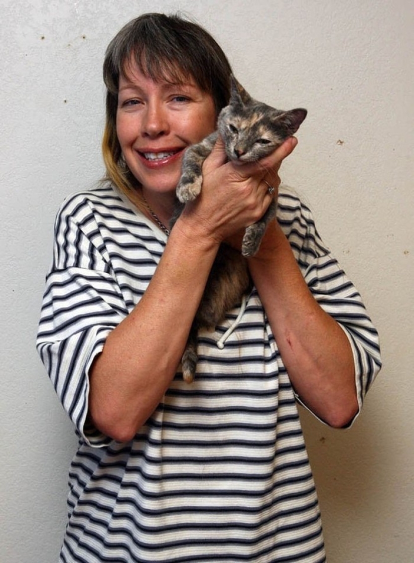 The shortest cat in the world!