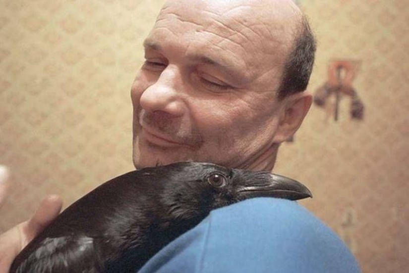 The story of friendship between Alexei and the raven Zhora The story of friendship between Alexei and the raven Zhora