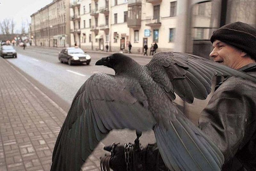 The story of friendship between Alexei and the raven Zhora The story of friendship between Alexei and the raven Zhora