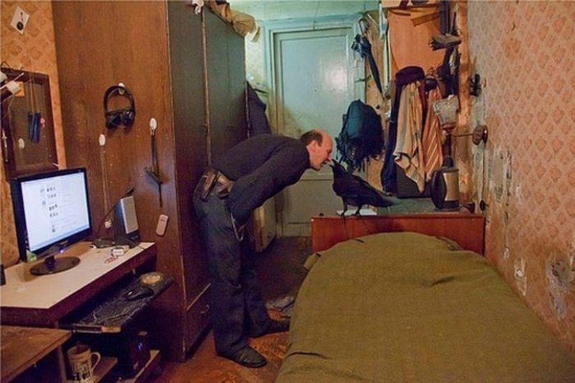 The story of friendship between Alexei and the raven Zhora The story of friendship between Alexei and the raven Zhora