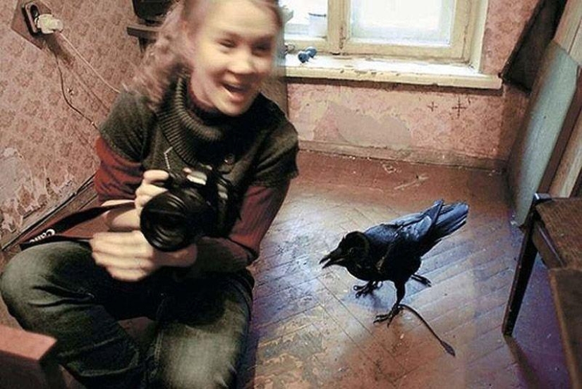 The story of friendship between Alexei and the raven Zhora The story of friendship between Alexei and the raven Zhora