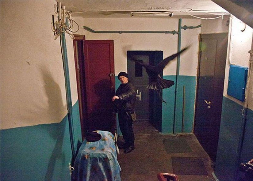 The story of friendship between Alexei and the raven Zhora The story of friendship between Alexei and the raven Zhora