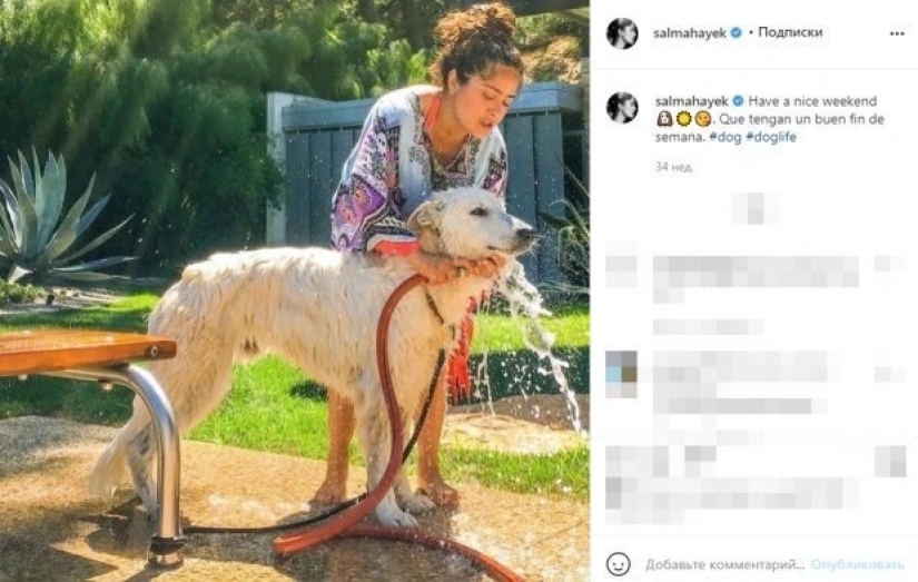 The story of Salma Hayek - an actress who saves animals