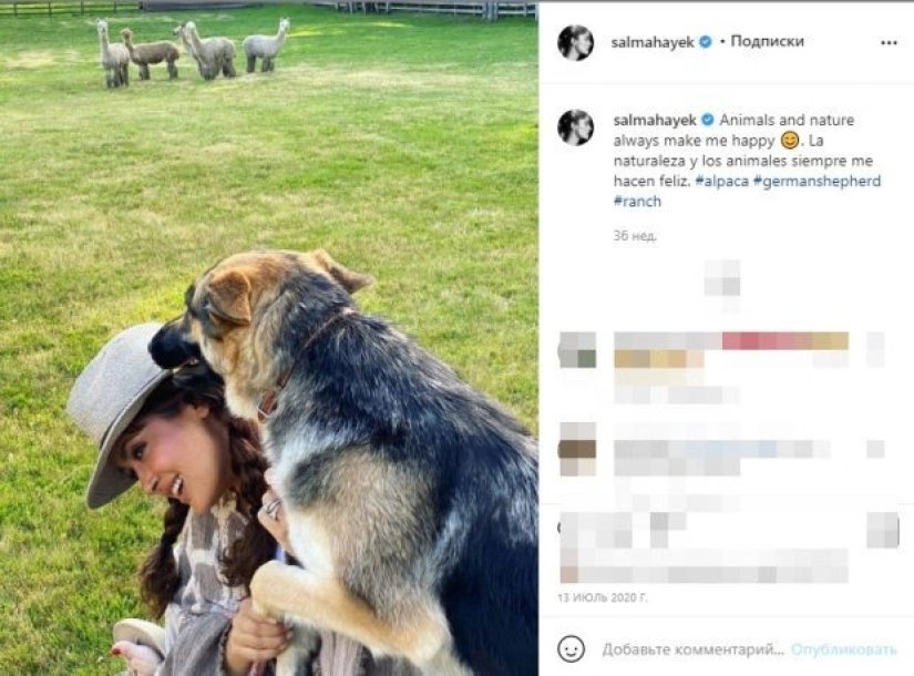 The story of Salma Hayek - an actress who saves animals