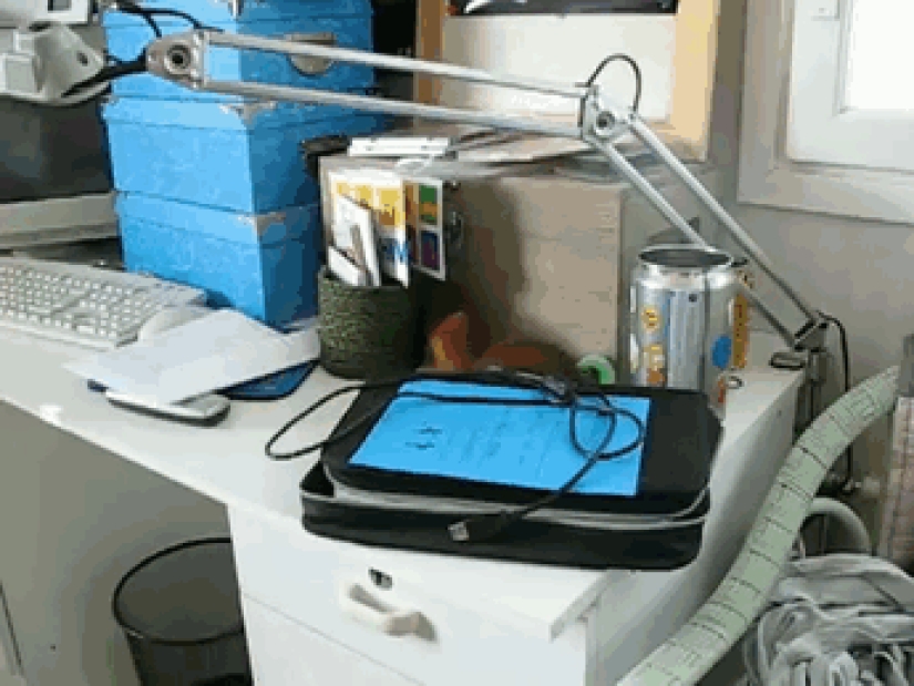 The story of the rescue of a wounded squirrel