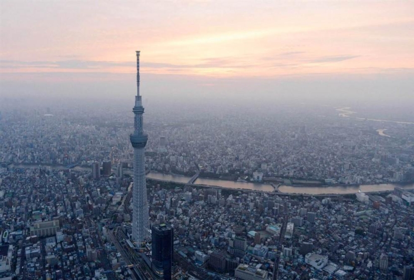 The tallest buildings in the world