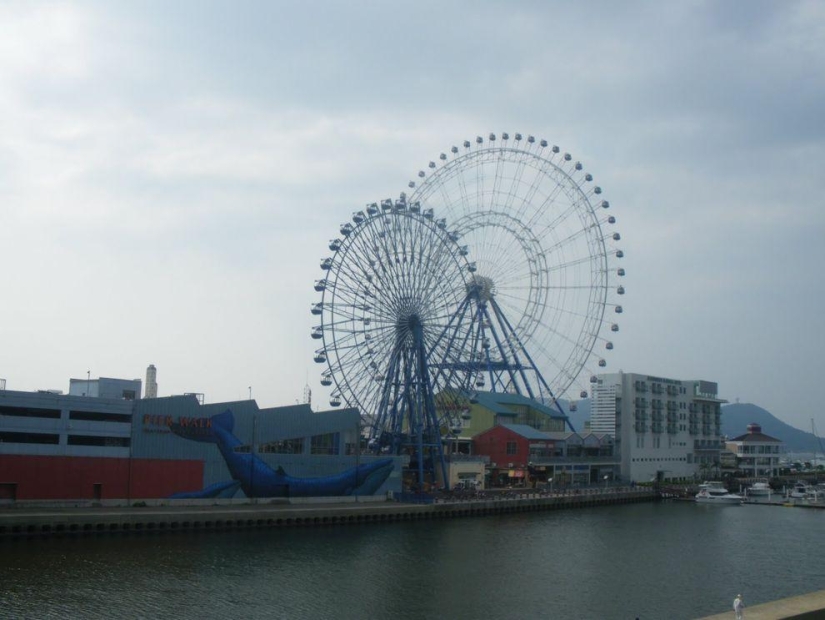 The tallest ferris wheels in the world