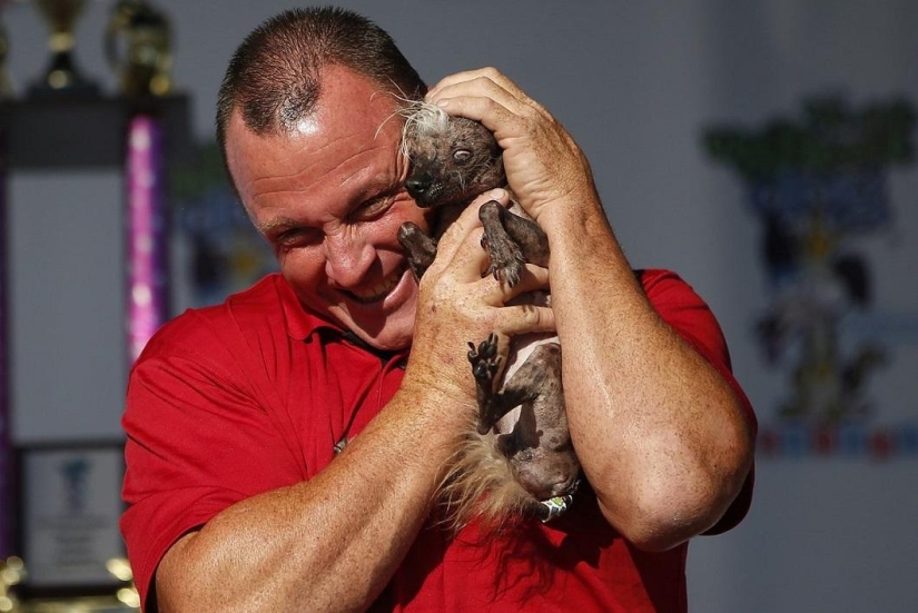 The ugliest dog in the world in 2014