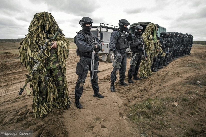 The use of weapons by the police in different countries