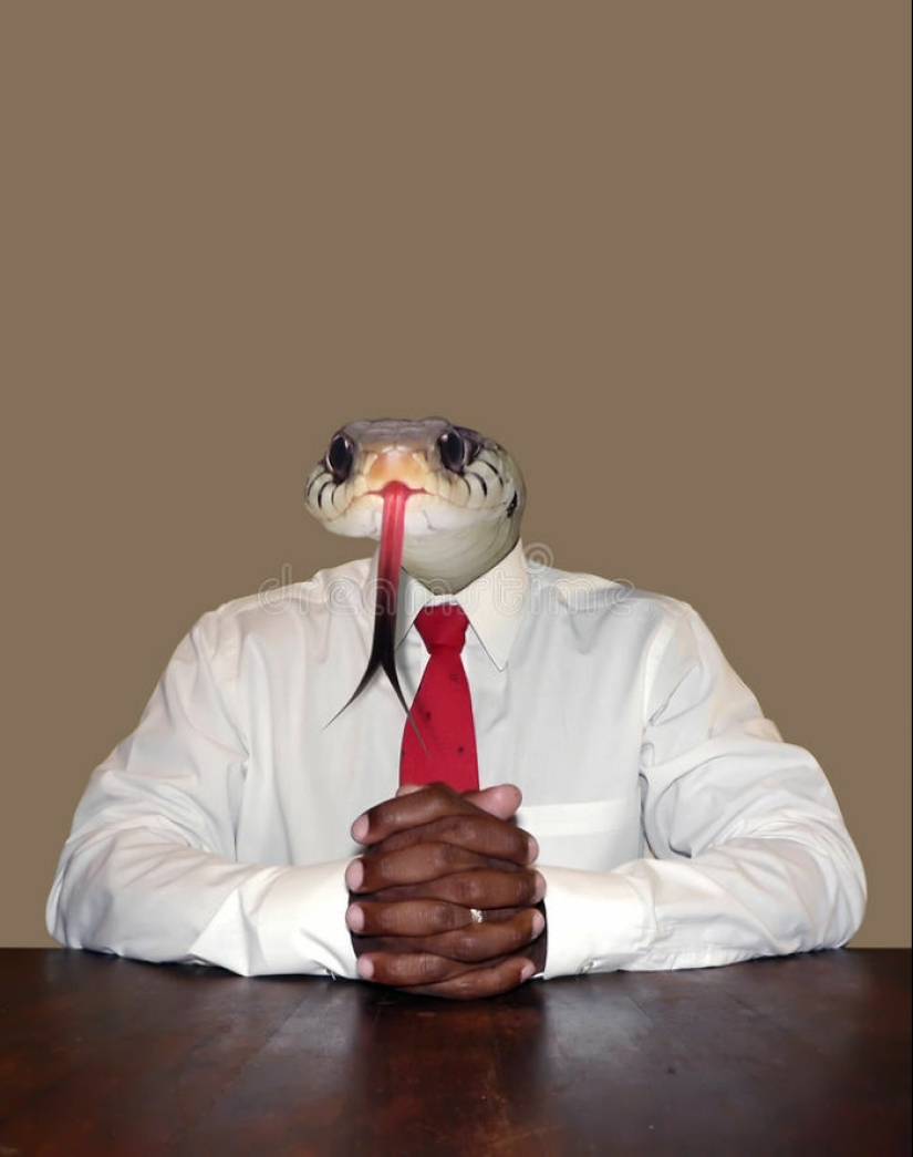 The Weirdest And Funniest Stock Photos You’ve Ever Seen The Weirdest And Funniest Stock Photos You’ve Ever Seen