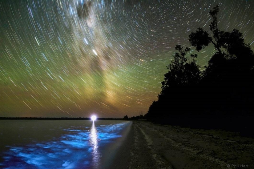 The winners of the photo contest "Earth and Sky"