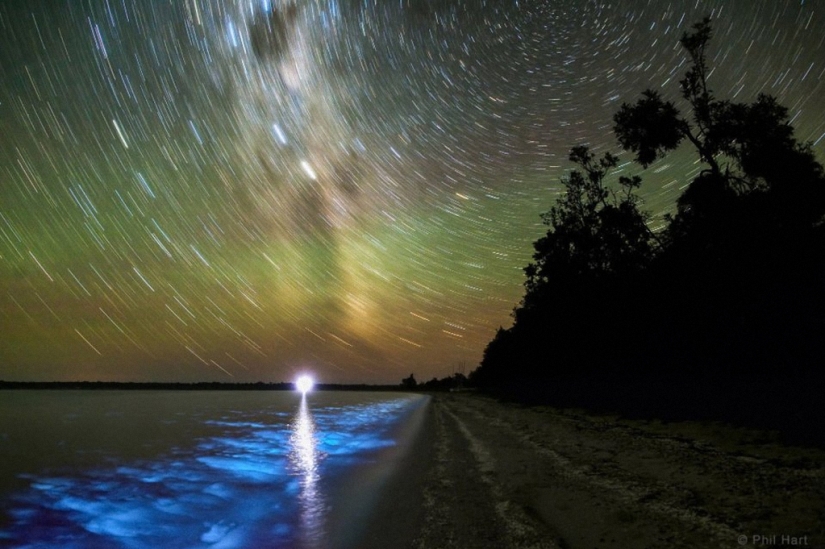 The winners of the photo contest "Earth and Sky"