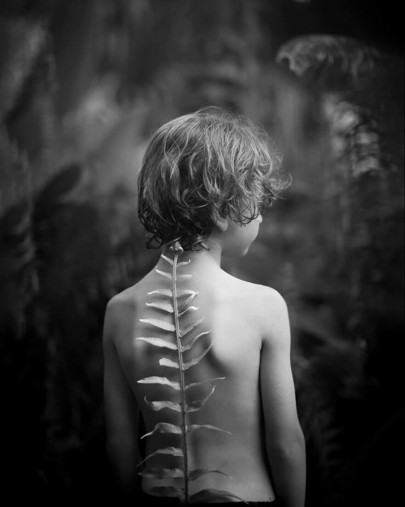 The Winning Photos Of The Contest “Nature” By AAP Magazine Have Just Been Announced, And Here Are The Best 14 Pics