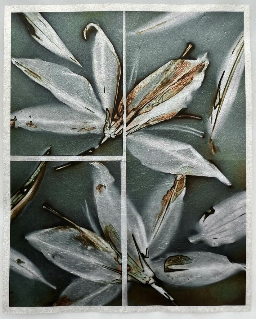 The Winning Photos Of The Contest “Nature” By AAP Magazine Have Just Been Announced, And Here Are The Best 14 Pics