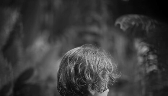 The Winning Photos Of The Contest “Nature” By AAP Magazine Have Just Been Announced, And Here Are The Best 14 Pics