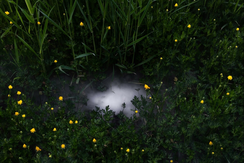 The Winning Photos Of The Contest “Nature” By AAP Magazine Have Just Been Announced, And Here Are The Best 14 Pics