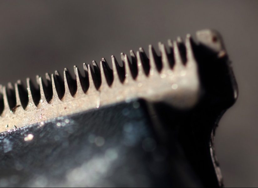 The work of a hairdresser and his working tools The work of a hairdresser and his working tools