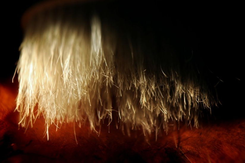 The work of a hairdresser and his working tools The work of a hairdresser and his working tools