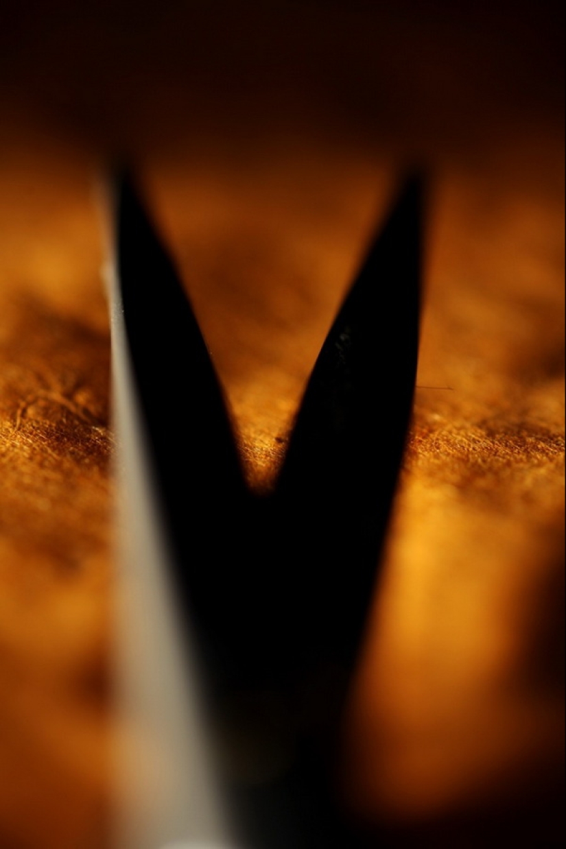 The work of a hairdresser and his working tools The work of a hairdresser and his working tools