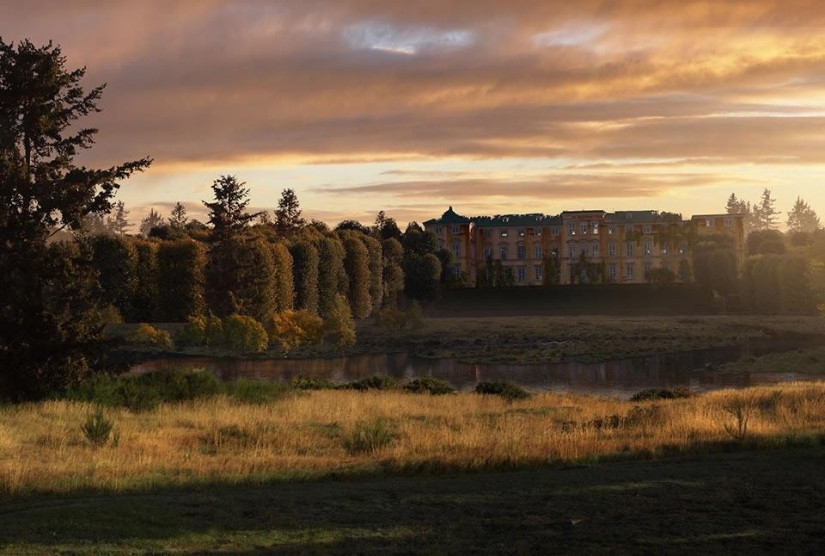 The world after the apocalypse