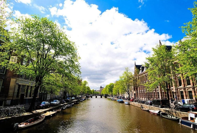 The world after the apocalypse