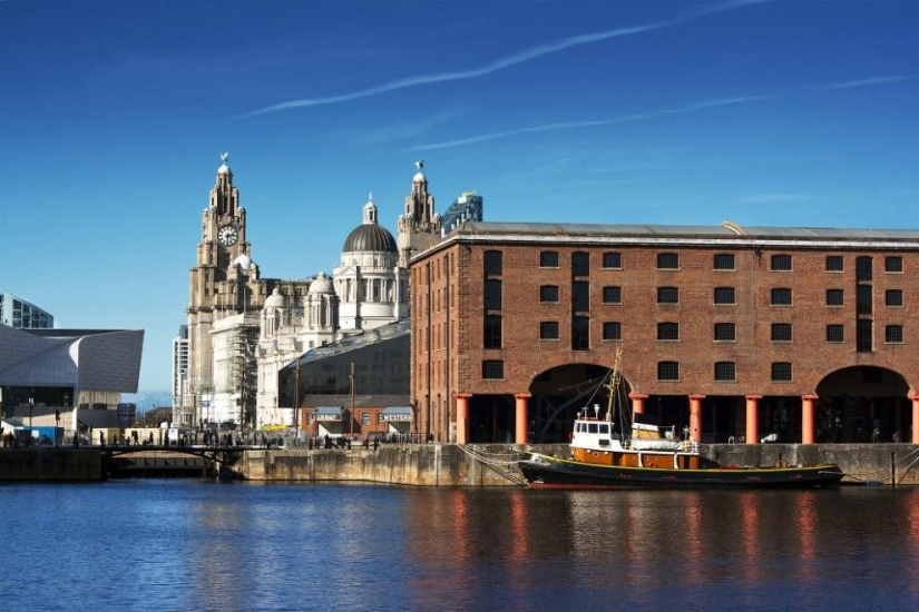 The world after the apocalypse