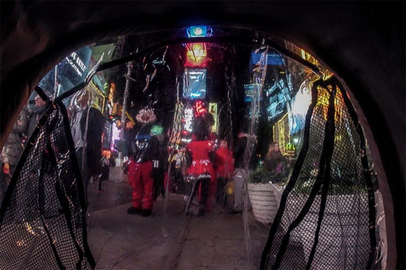 The world through the eyes of a baby in a stroller The world through the eyes of a baby in a stroller