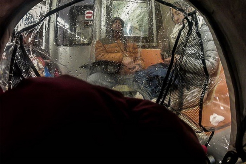 The world through the eyes of a baby in a stroller The world through the eyes of a baby in a stroller