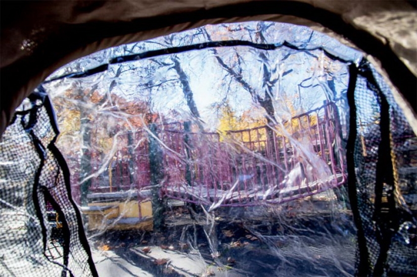 The world through the eyes of a baby in a stroller The world through the eyes of a baby in a stroller