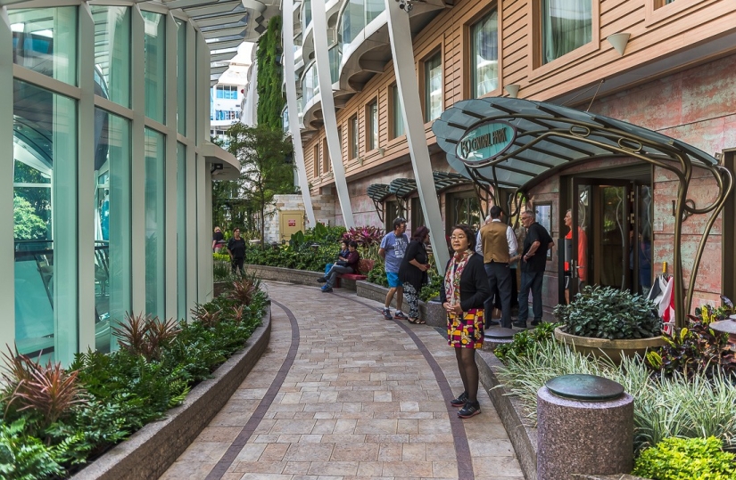 The world's largest cruise ship