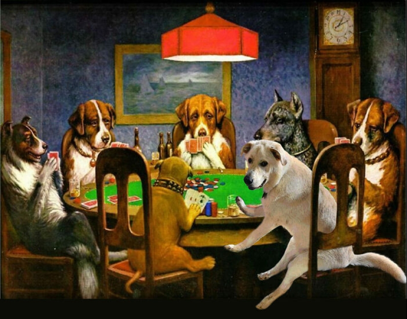 These Are 10 Pictures People Made While Amusing Themselves By Photoshopping This Goofy Dog