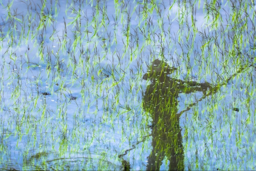 These Beautiful Fine Art Photographs Seek to Modernize Impressionism These Beautiful Fine Art Photographs Seek to Modernize Impressionism