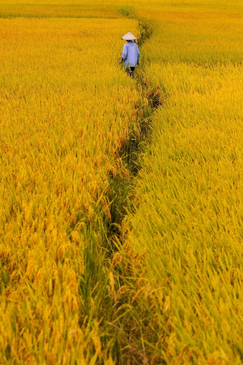 These Beautiful Fine Art Photographs Seek to Modernize Impressionism These Beautiful Fine Art Photographs Seek to Modernize Impressionism