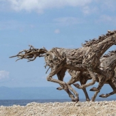 These sculptures seem to be alive… You will never believe what they are made of