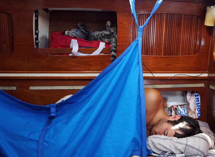 These two left everything and went traveling — with their cat