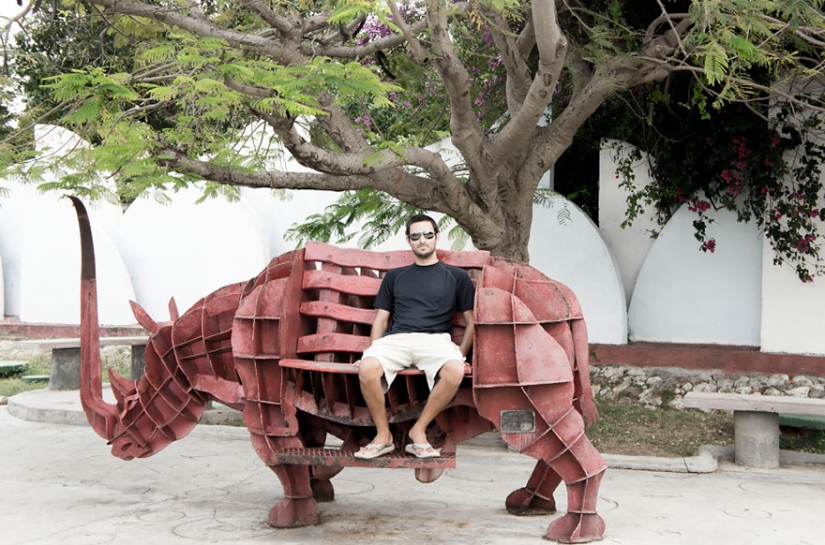 These two left everything and went traveling — with their cat