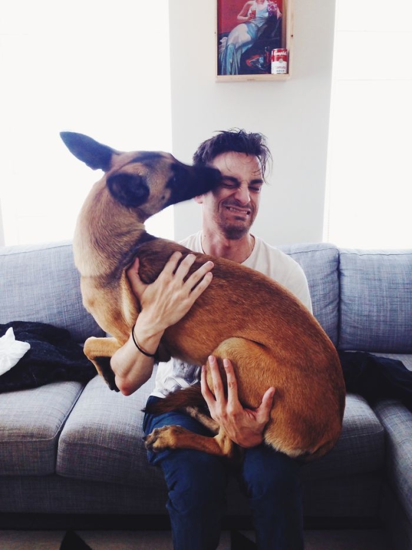 They had a home for the first time: dogs from the shelter on the first day with new owners They had a home for the first time: dogs from the shelter on the first day with new owners