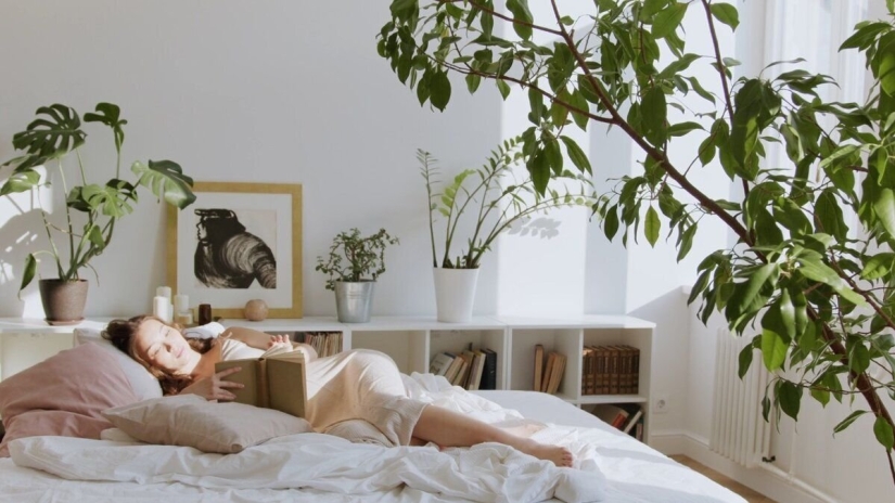 Things in the house that can make us happy - top 10