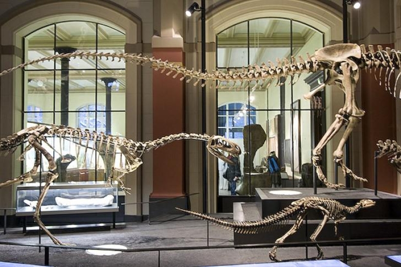 Things to do in Berlin Things to do in Berlin