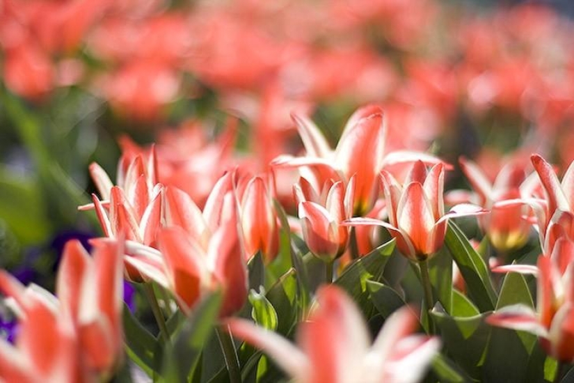 Things to do in Berlin Things to do in Berlin