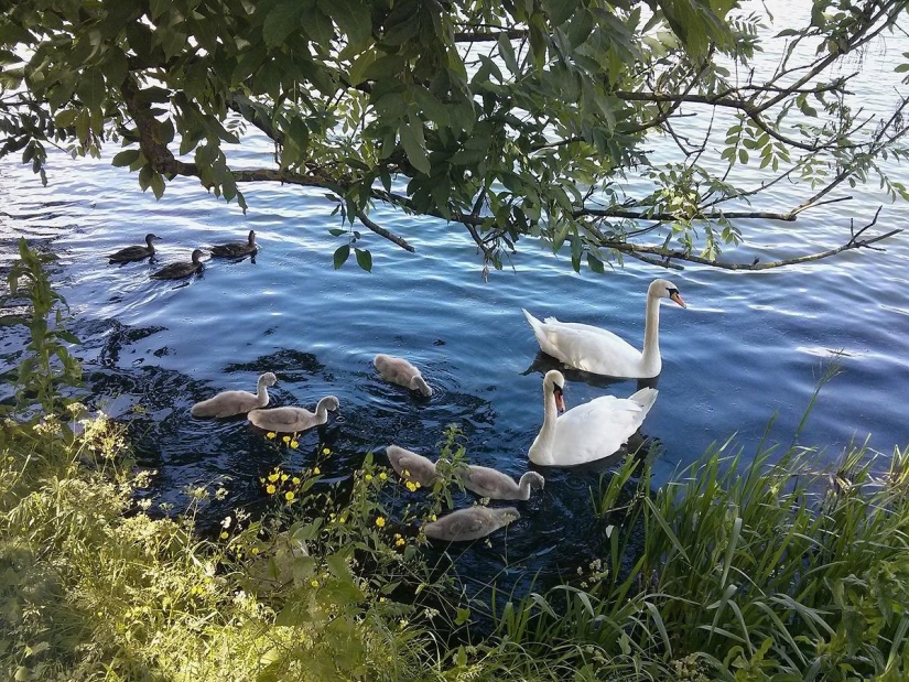 Things to do in Copenhagen Things to do in Copenhagen